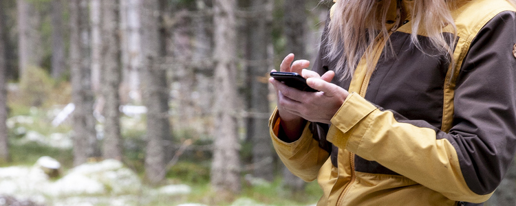 Kvinna i skogen tittar på sin mobil.  Foto: Camilla Zilo