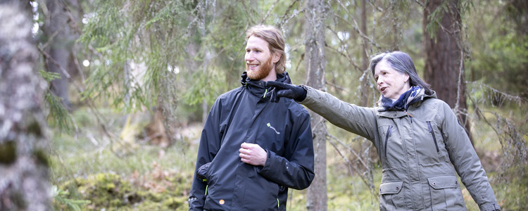 Rådgivning och planering inför hyggesfritt skogsbruk. Foto: Camilla Zilo