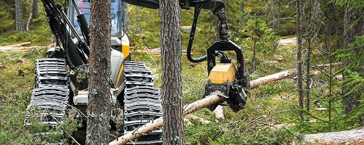 Skogsmaskin i skog.