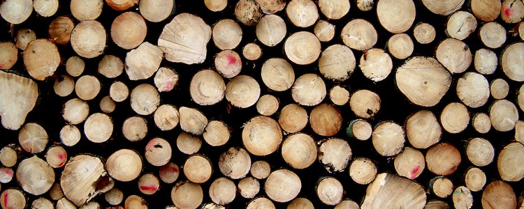 Pile of timber. Foto: Henry Stahre
