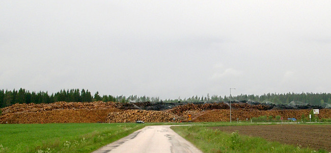 2 juni 2005, Kronobergs län. Stormfällt virke efter stormen Gudrun. Foto: Skogsstyrelsen/ Bengt Henriksson