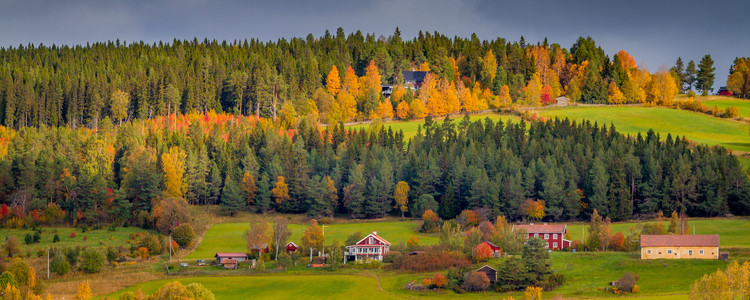 Frösön i höstfärger, Östersund. Foto: MostPhotos