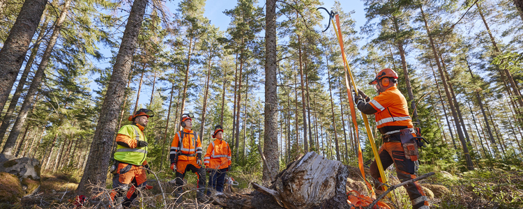 Utbildningsgrupp. Avancerad fällning med fällhjälpmedel. Foto: Patrik Svedberg