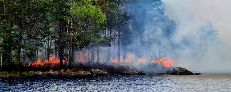 Naturvårdsbränning på tre biotopskyddade öar på sjön Viksjön i Gävle kommun. Foto: John Lindström