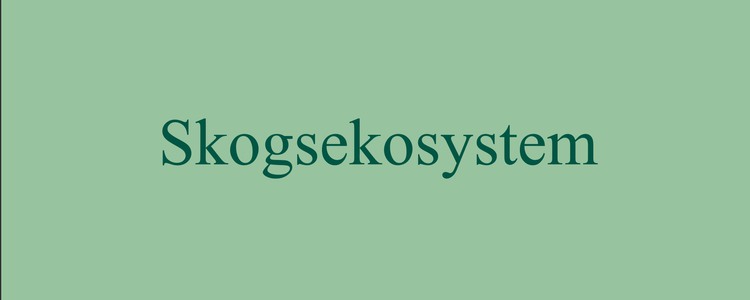 Texten Skogsekosystem på grön bakgrund som används i ppt i information om naturrestaureringsförordningen