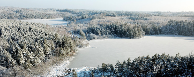 Drönarbild över halländsk skog vintertid. Foto: Jessica Bengtsson