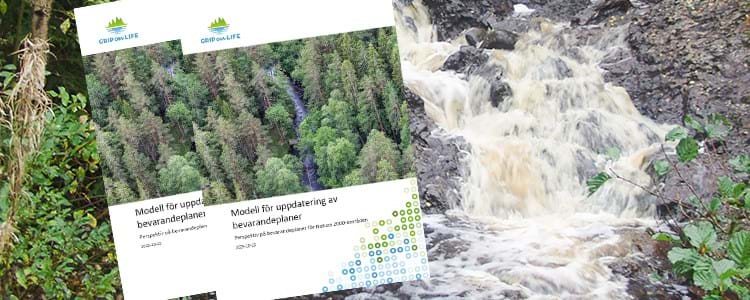 Framtidan av rapporten Modell för uppdatering av bevarandeplaner för Natura 2000-områden.