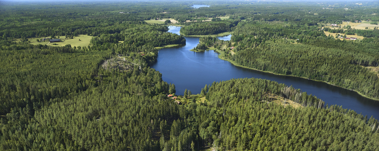 Drönarbild över skog och vatten. Foto: Patrik Svedberg