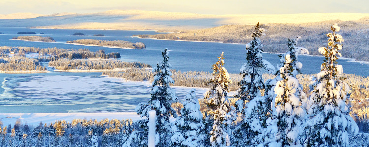 Vacker utsikt över vintrigt landskap i Norra Västerbotten. Foto: Hans Gustavsson