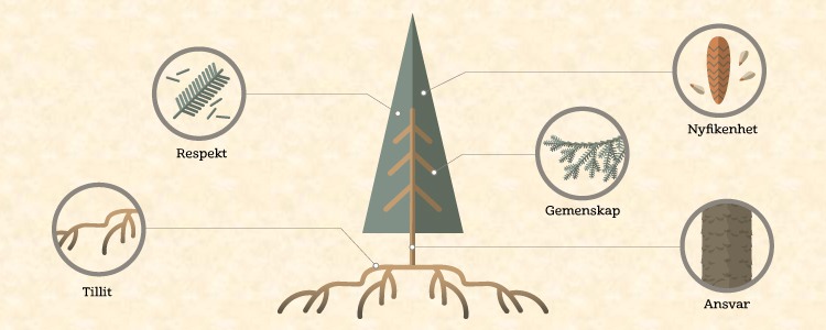 Illustration av gran med detaljer som beskriver olika värdeord.