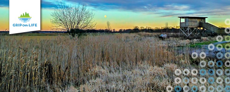 Observation tower at dusk by a wetland on a cold winter day. Foto: Hamperium.com