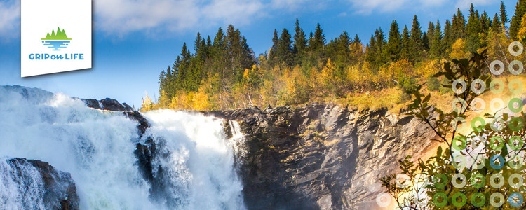 Ett vattenfall i norrländsk älv vars vatten forsar nedför klippväggen en vacker höstdag. Foto: Mostphotos Hamperium.com