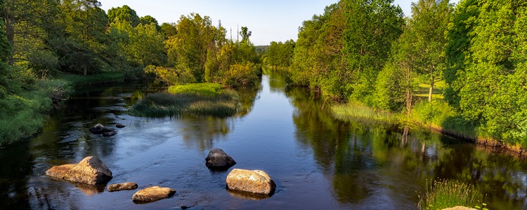 Sommardag vid Emån i Högsby. Foto: Mostphotos