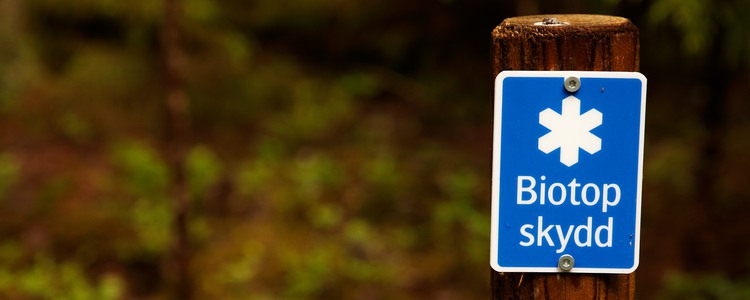 Biotopskydd. Foto: R Magnusson,  prio-1@telia.com