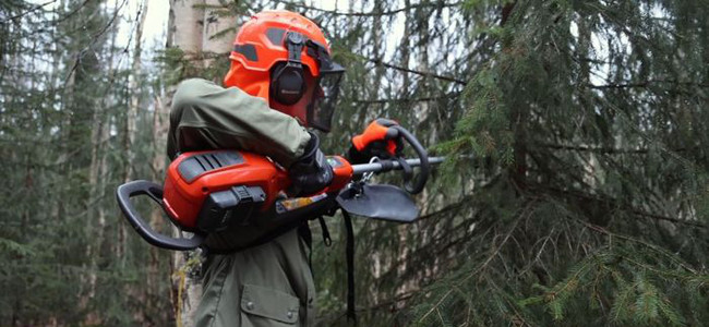 Klipp från film om att skapa naturvärden när du röjer.  Foto: Bitzer