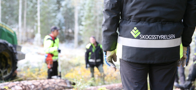 Skogskonsulent i samtal med utförare  vid skogsmaskin.  Foto: Camilla Zilo