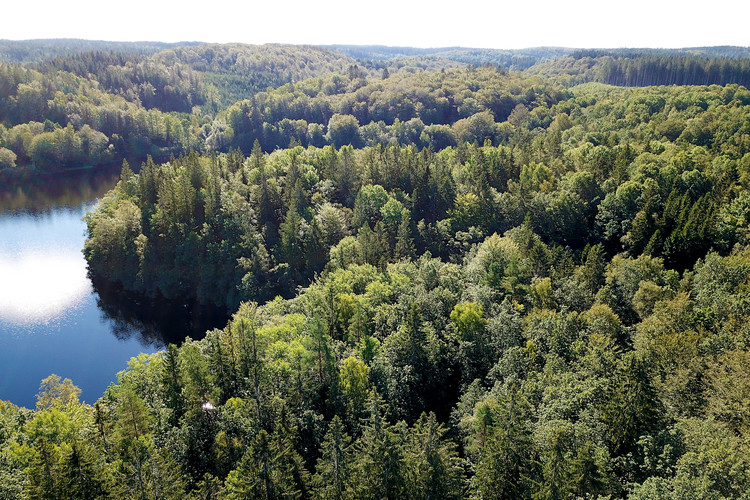 Drönarbild över halländsk skog sommartid. Foto: Jessica (Bengtsson) Johansson