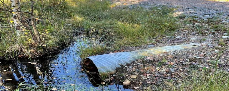 Ett dike och vägtrumma intill en skogbilväg. Foto: Erik Otto