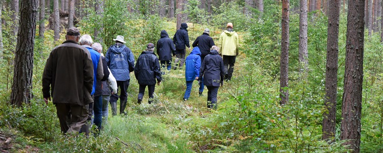 En grupp människor på exkursion i skogen. Foto: Per-Erik Larsson
