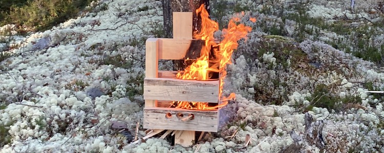 Punktbränning av levande tall. En trälåda står precis intill tallens stam och en eld brinner i lådan. Foto: Linda Nilsson