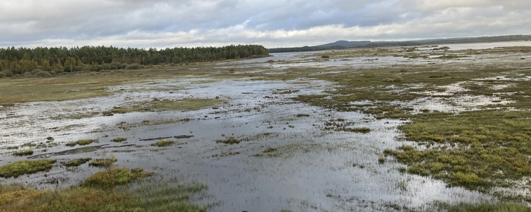 Vy över våtmarken Store mosse som är mycket blöt. Himlen har dramatiska moln. Foto: Maria Larsson