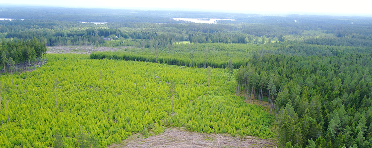 Landskap, bild tagen med drönare. Foto: Anton Holmström