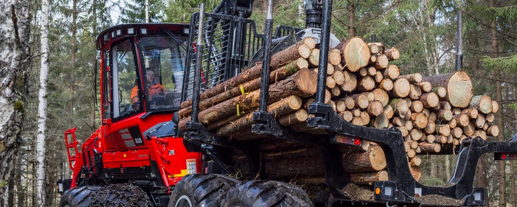 Skogsmaskin i skogen, lastad med timmer. Foto: Yaman Albolbol