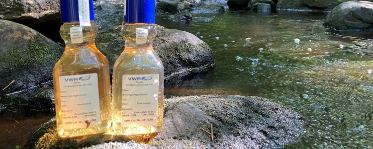 Två provtagningsflaskor för eDNA-prover står på en sten bredvid Tvååkersån. Foto: Marie Andersson