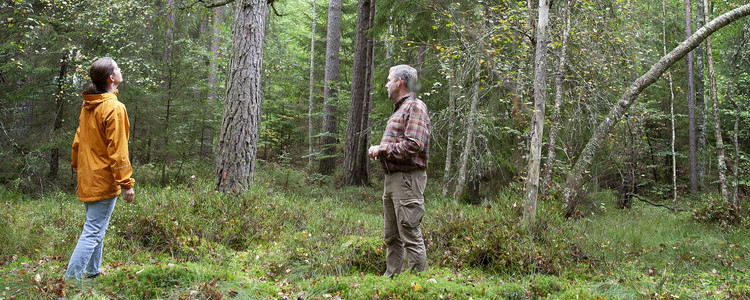 En kvinna och en man står i en blöt skogsglänta.  Foto: @ Camilla Zilo