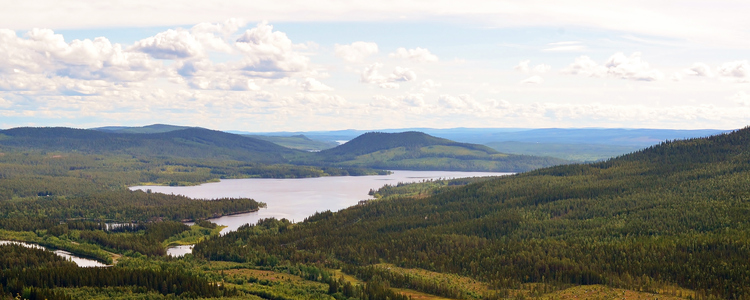 Vacker utsikt över gransluttningar och vatten i Norra Västerbotten. Foto: Hans Gustavsson