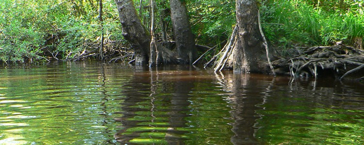 En del av Lyckebyån.  Foto: MostPhotos