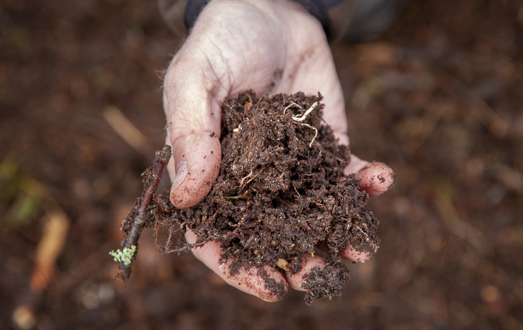 Mineraljord som kommer fram efter markberedning. Foto: Camilla Zilo. Foto: Camilla Zilo