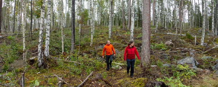Två personer går i lövskog och tittar på utförda skogsskötselåtgärder. Här har naturvårdande skötsel skett. Foto: Marie Birkl