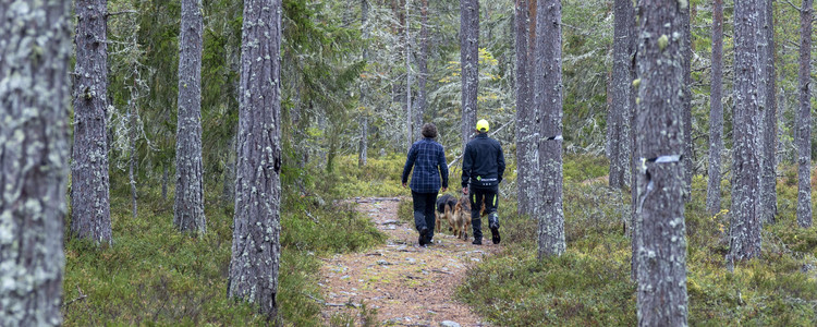 Man, kvinna och hund på skogspromenad på en stig i tallungskog. Foto: Marie Birkl