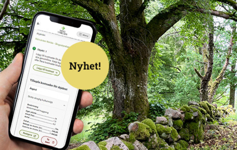 Bild på en stenmur i en lövskog ,en stor gammal ek, samt en mobiltelefon med Mina Sidor.