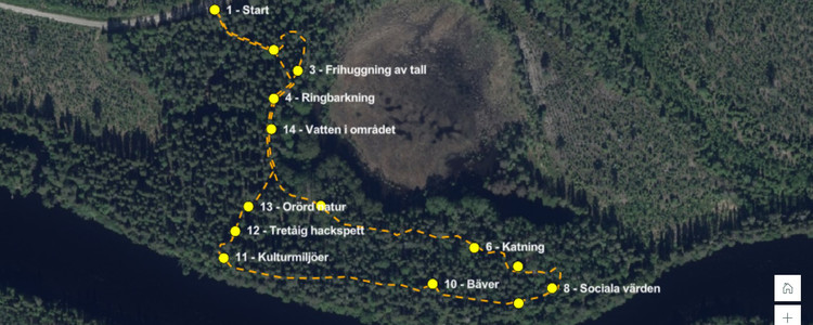 Flygbild över demonstrationsområde med vandringsslingan inritad i gult.