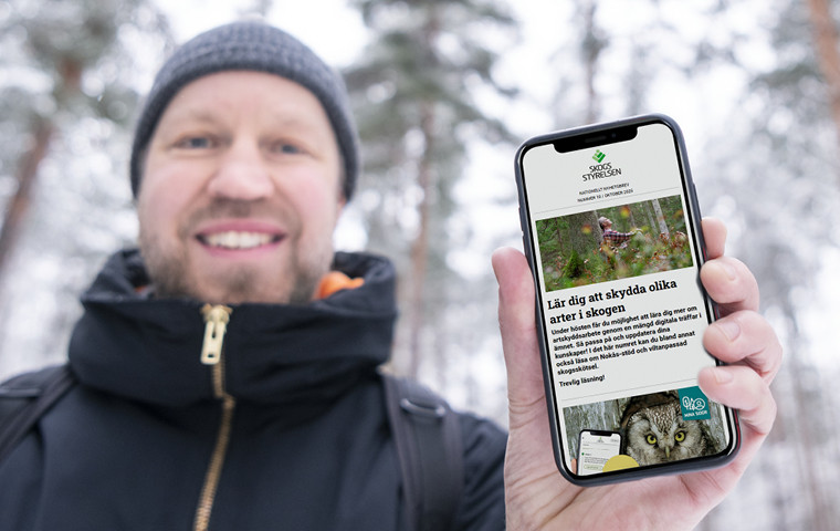 Skogsstyrelsens nyhetsbrev