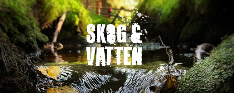Logotypen för veckan om skog och vatten