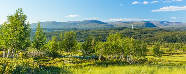 Vy över fjäll landskap med berg och skogar. Foto: Mostphotos