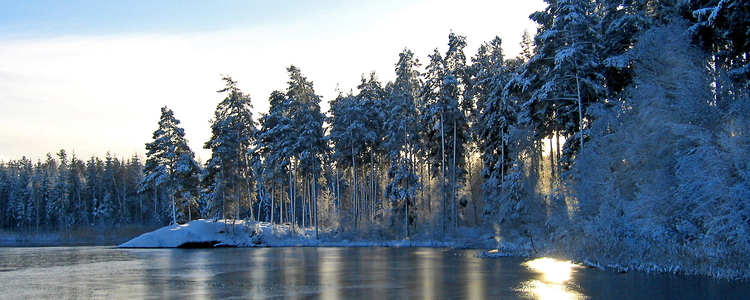 Vintersol över sjö och skog.  Foto: Mostphotos