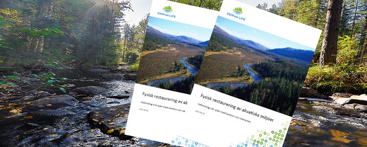 Bild på handledningen "Fysisk restaurering av akvatiska miljöer".