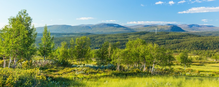 Vy över fjäll landskap med berg och skogar. Foto: Mostphotos