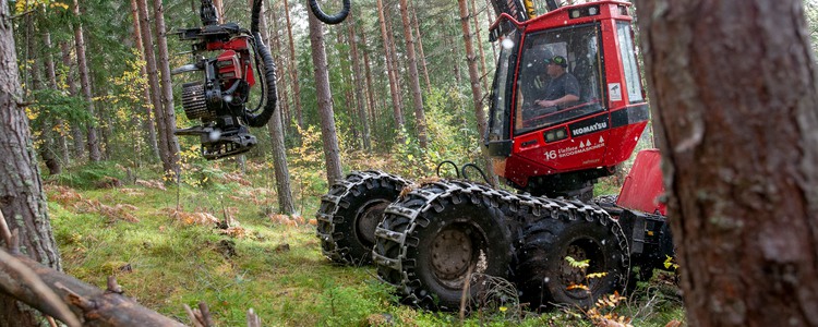 Skogsmaskin i arbete. Foto: Camilla Zilo