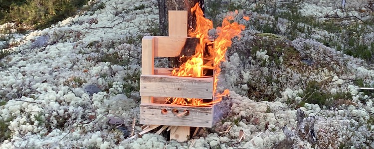 Punktbränning av levande tall. En trälåda står precis intill tallens stam och en eld brinner i lådan. Foto: Linda Nilsson