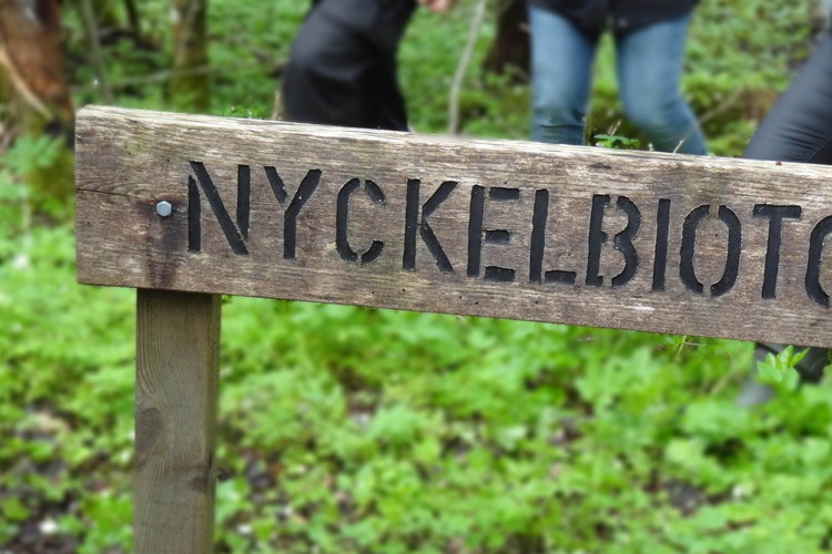 Nyckelbiotop.