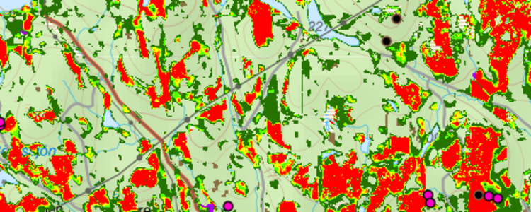 Utsnitt av karta som visar indikationer på naturvärden i skog