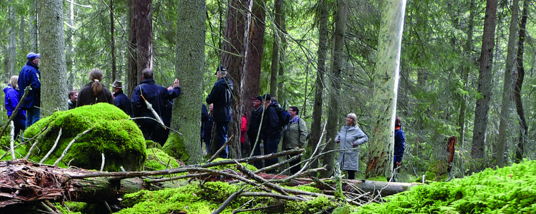 Grupp med människor i skogen. Foto: Jerker Bergdahl