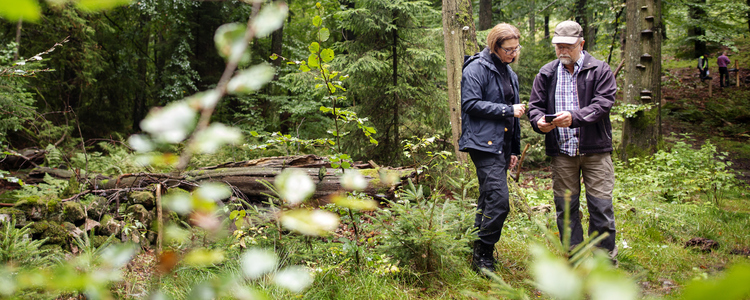 En skogskonsulent och en skogsägare tittar tillsammans på kartprogram (Field maps) i telefon omgivna av bokskog.