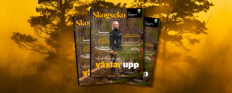 Omslag på Skogseko mot bakgrund av brinnande skog.