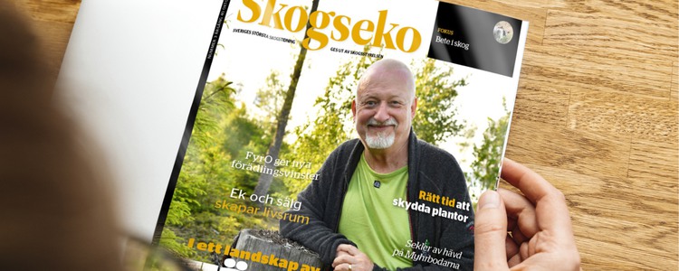 Omslagsbild på Skogseko nummer 3.